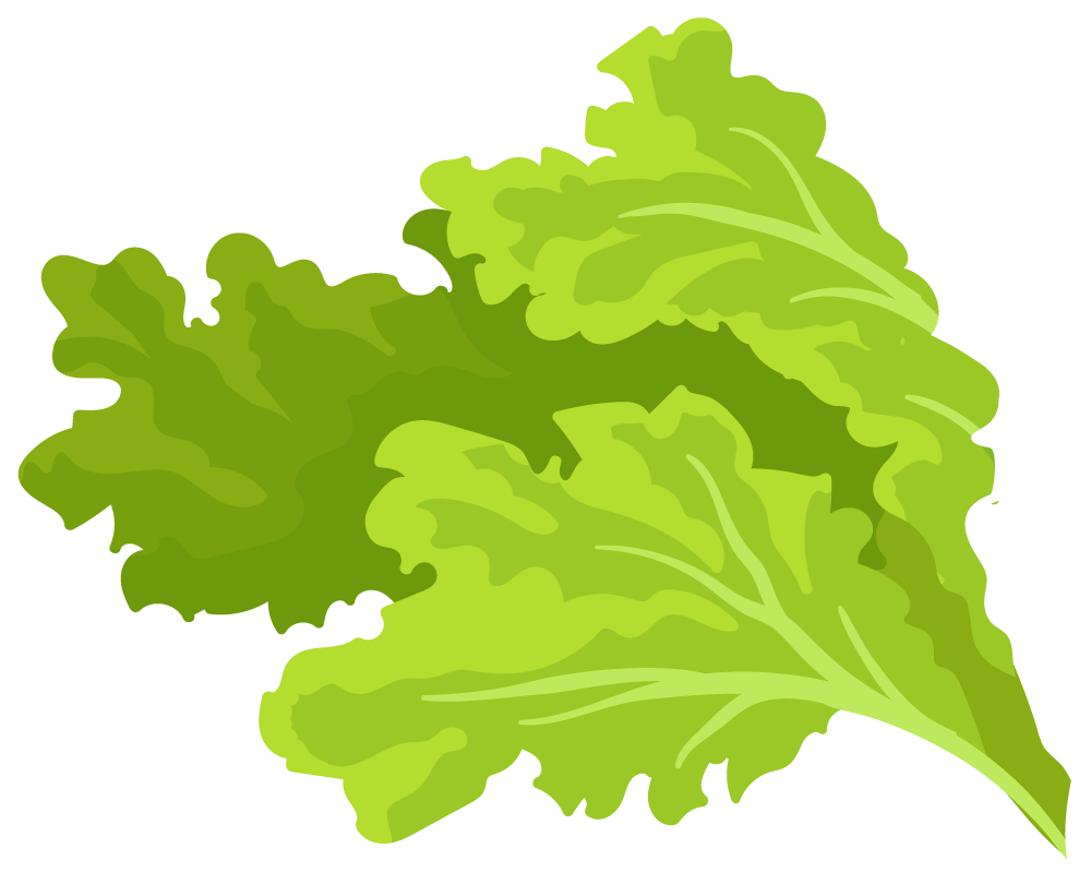 Lettuce and Greens in Suisun, CA | EB Stone & Son Inc.